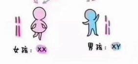 河南郑州助孕公司到哪去比较好？郑州助孕机构怎么样？